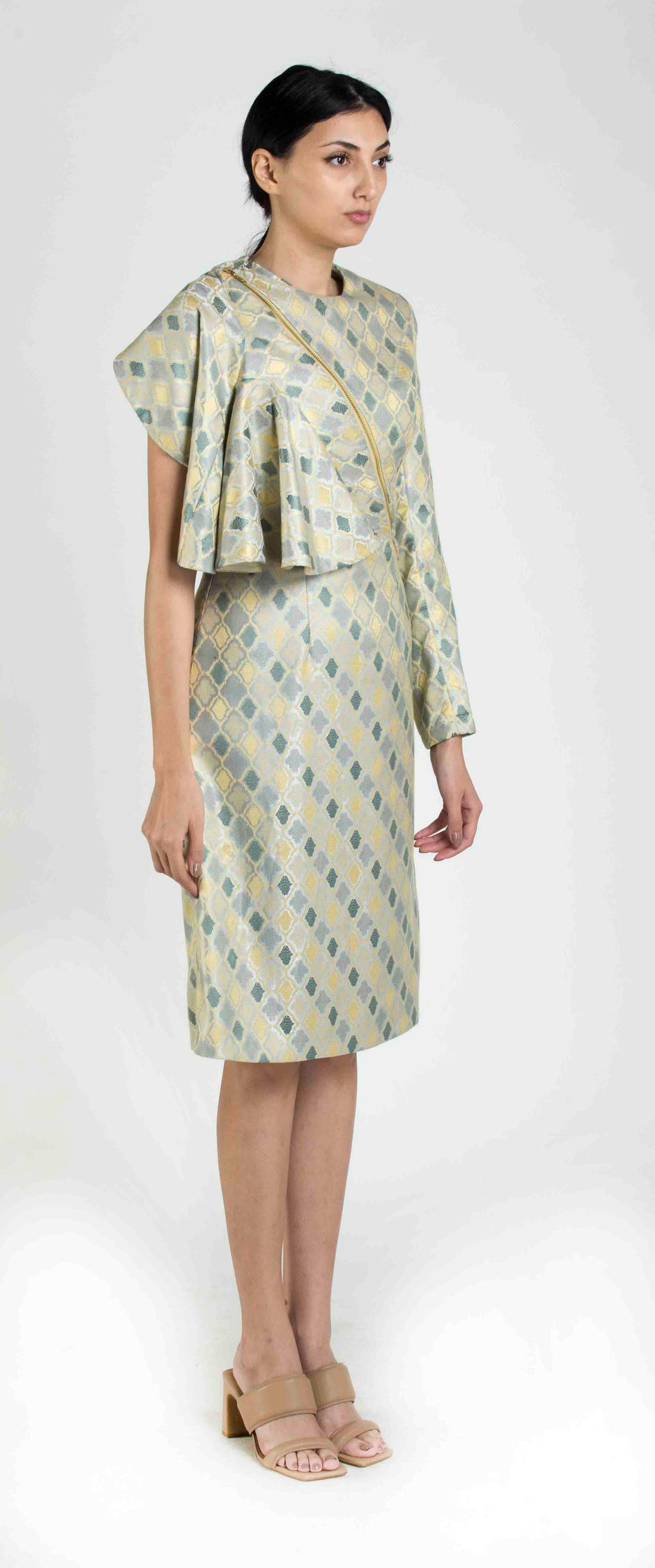 Ruffle sleeve dress